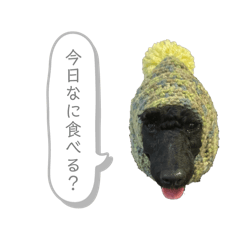 no_20250308170619