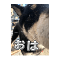 treasure_20250308172250