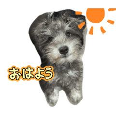 yuzu_20250308200719