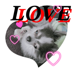 runa_20250308105016