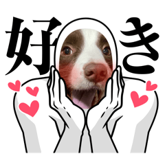kana_20250308211950
