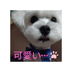 ao_20250308201549