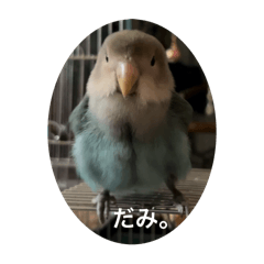 ANKO_20250308110034