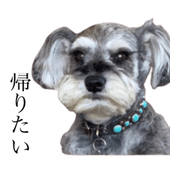 satsu_20250308103550