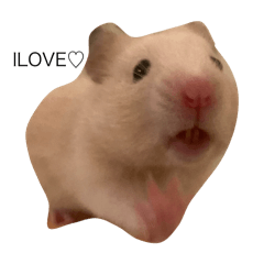 世界最高