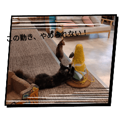no_20250308132700