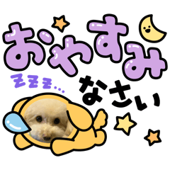KURUMI_20250308222153
