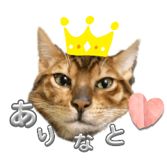 sachi_20250308221815