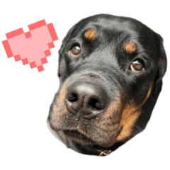 nanao_20250308234126