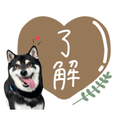 aya_20250309032055