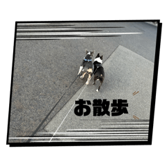 aru_20250308193840