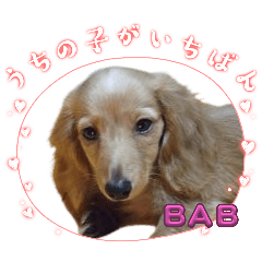 BAB-RAI-SORA-CHIPIE