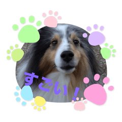 Mimi_20250308143053