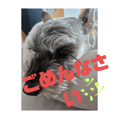 chiro_20250308141213