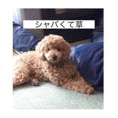 NATSUMI_20250308143835