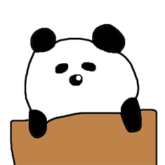 PANDA in BOX For young people