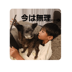akira_20250308225308