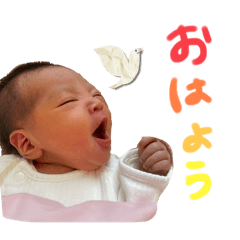haru_20250308140504
