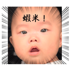 程人專用