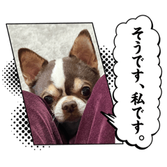 aki_20250308184640