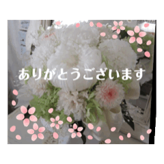 flower_20250309104602