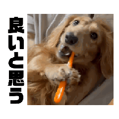 yuki_20250309114837