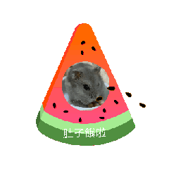 米妮小世界