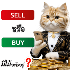 Meow Trader V.3 : Gold Trader