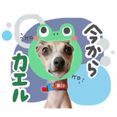 aoi_20250308205436