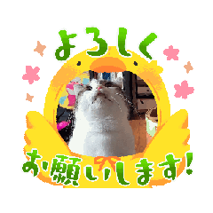 ryota_20250307150830