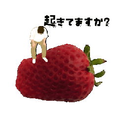 The world inside a strawberry