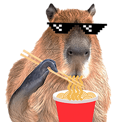 Cool Capybara! V.2