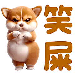 Dance Mania Animals - Corgi (Words)