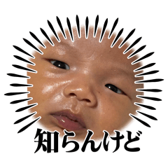T.K_20250309114554