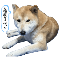 我家ㄟ阿財