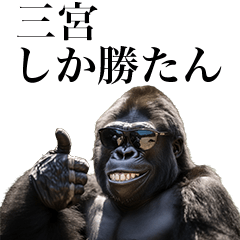 [Sannomiya] Funny Gorilla stamp to send