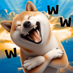 wwwwwshiba