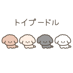 CHIKKOI TOY POODLE(animation)