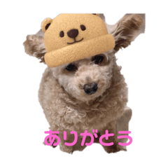 ran_20250309001018