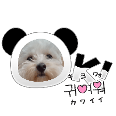 mimo_20250309090537