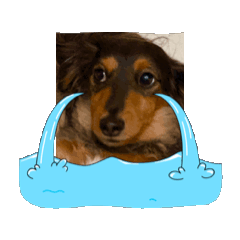 ryuki_20250309152056