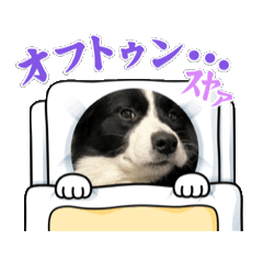 ayumi_20250309165523
