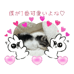 momo_20250309172805