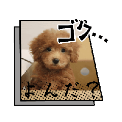 anna_20250309171721