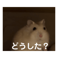 動くむなハム。