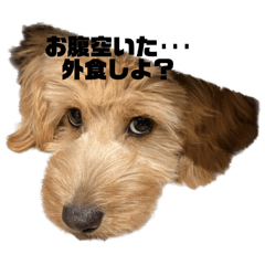 miho_20250309002854
