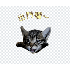 喵嗚喵嗚日常2