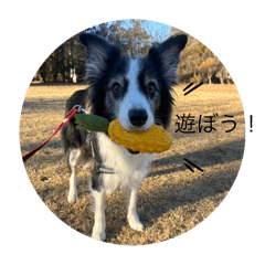 shun_20250309113835
