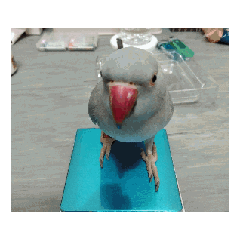 Min敏