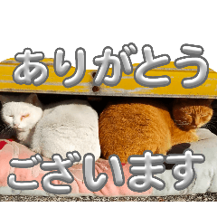 YUKI_20250309114303